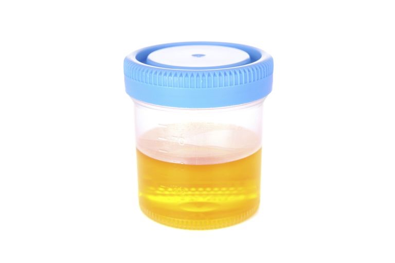 Synthetic Urine Whizz Kit Durango Estates Durango CO